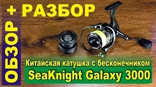 Chinese coil with an endless screw - SeaKnight Galaxy 3000 - review + analysis