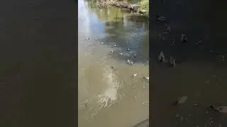 Все происходит в нашей жизни к лучшему!
