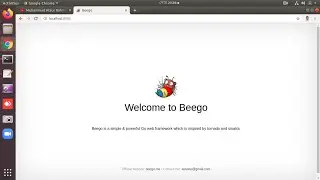 I Will Do Golang & Beego Install Into Linux