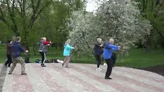 ТАЙЦЗИ И САКУРА.
