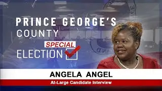 County Council At Large Seat Candidate Interviews - Angela Angel