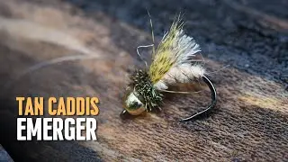 Tan Caddis Emerger, Fly Tying Caddis Flies