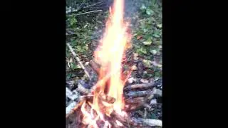 Осень, лесок и кастерок ч 1