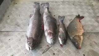 Улов с малого водоёма