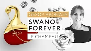 Обзор аромата Swano Forever Le Chameau