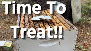 Using Apigaurd for the First Time!!