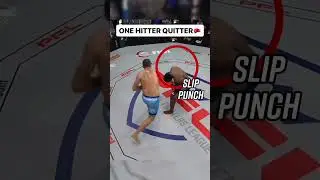 Heavyweight One Hitter Quitter 🥊