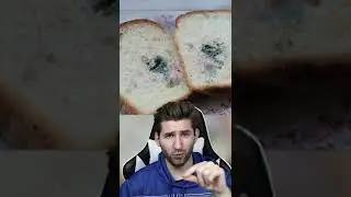 DON'T Eat Moldy Bread!