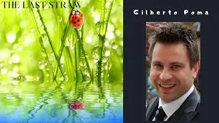 CD THE LAST STRAW