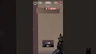 Spray Transfer 