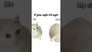 If you ugh, ill ugh cat meme