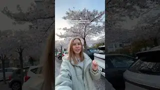 Пробовали? 🥴
