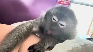 Abby Louise Taking Care Of Me ASMR