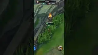 Twitch Ambush.