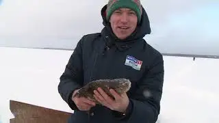 Рыбный промысел - АГРОВЕСТИ - Ярославская область