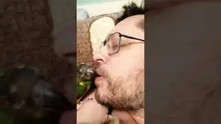 Мой сенегал. Природник 45 лет