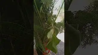 ❤ Великолепие и простота живут совсем рядом...❤