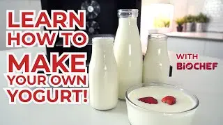 Healthy Home Made Yogurt!!! - BioChef Savana Food Dehydrators