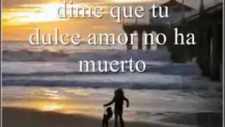 Elvis Presley Always on my mind SUBTITULADO EN ESPAÑOL