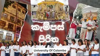 මෙහෙම දේවලුත් වෙනවා Campus වල | පිරිත | Chanting of Pirith | University of Colombo | University Vlog