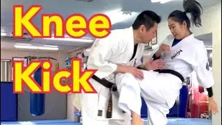 Karate Girl Knee Kick Combination Technique 空手女子の膝蹴りコンビネーション