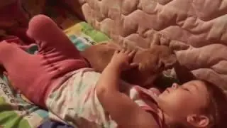 Самый няшный ролик
