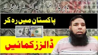 Learn Freelancing Skills and Make Money Online in Pakistan.