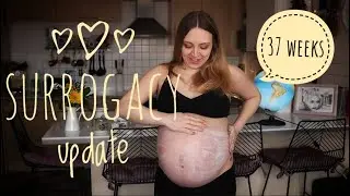 Surrogate bump update | 37 weeks pregnant | skin care routine ZERO stretch marks