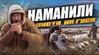 Наманили. Охота в Ленинградской области