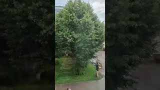 Тропические ливни в Москве, затопило многие районы. 