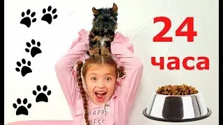 24 ЧАСА мой домашний ПИТОМЕЦ Макс управляет МОЕЙ ЖИЗНЬЮ