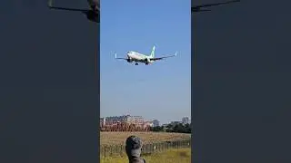 Boeing 737-800 NG Transavia 💚 #airport  #lisboa #shorts