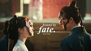 Blossom » You two are bound by fate.