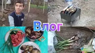 Первые посадки / Шашлыки на новом участке / Обзор домика в деревне / Дачный влог