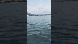 🌊Релакс.Геленджик.Тонкий мыс #геленджик #релакс #тонкиймыс