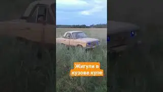 Укоротили Жигули