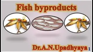 Fish Byproducts