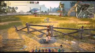 Black Desert:  Мистик билд, советы (броня, билд, комбо)