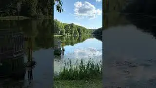 Цветет озеро на Щелоковском хуторе