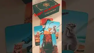 #феникстаро