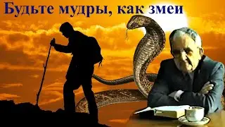 Билли Страйкен. Будьте мудры, как змеи