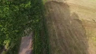 DJI FPV - Flowy Freestyle w/ Snappy Tricks & Smoother Gaps