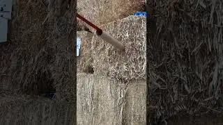 5 arrows shot in cardboard tube