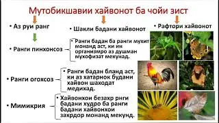 Зоология 02.| Ҷойи зист,таносуби бадан,Симбиоз,Антибиоз,мутобиқати ҳайвонот.