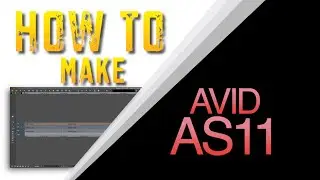 HOW TO MAKE AN AVID AS11 DELIVERABLE