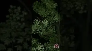 Last night in the woods.    #monster #creepypasta #spooky #succubus #demon #jumpscare #flyingdevil