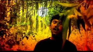 Zibayar - (Зибаяр)