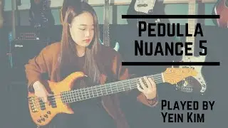 Pedulla Nuance 5 Bass | Yein Kim | 김예인