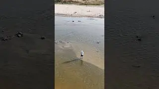 Рыбалка в Варшаве #рыбалканаспиннинг #дрон #djimini4pro #drone #fishing #djidrone #видеосдрона