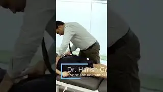 Back Pain Relief Exercises